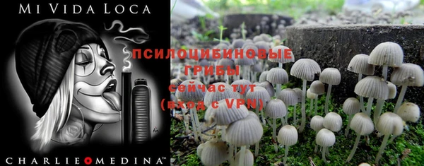 МДМА Верхний Тагил