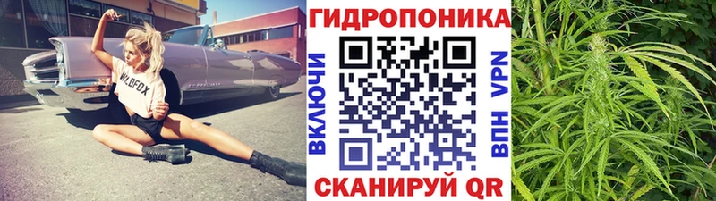 ссылка на мегу как войти  Канск  Шишки марихуана AK-47 